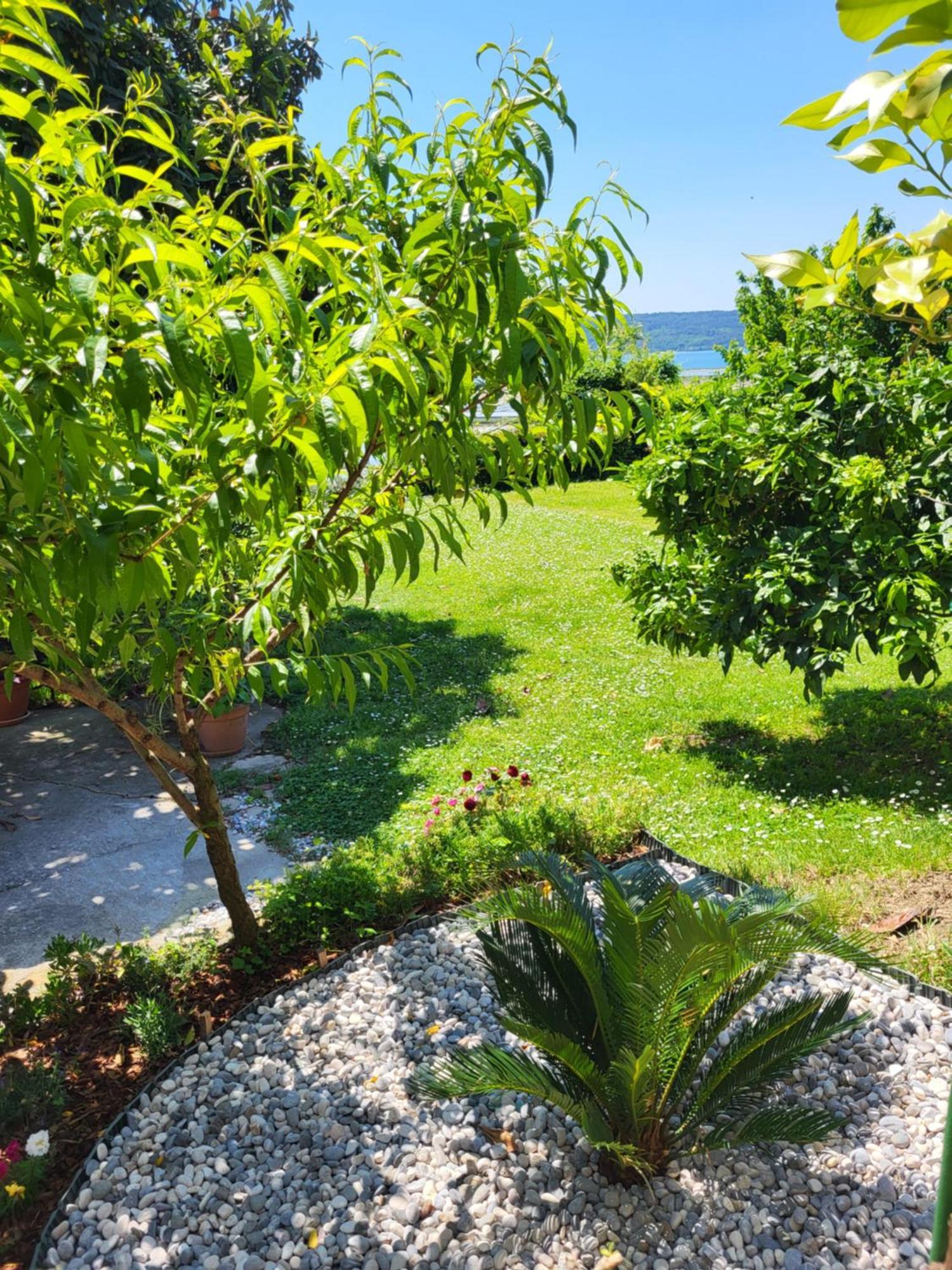 Apartment Salt Pans View Portoroz Ngoại thất bức ảnh